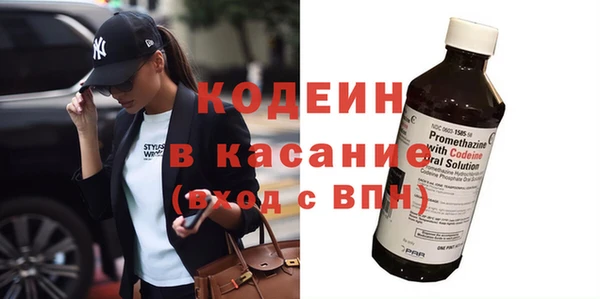 гашик Арсеньев