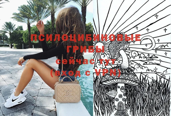 трава Армянск