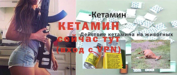 гашик Арсеньев