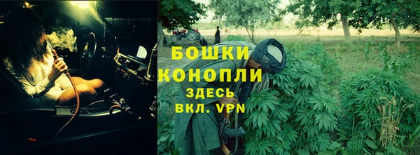 гашик Арсеньев