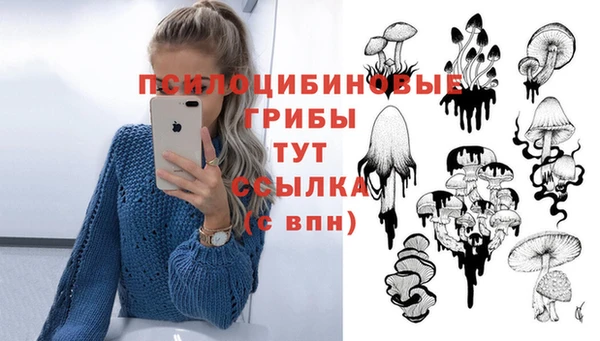 стафф Аркадак