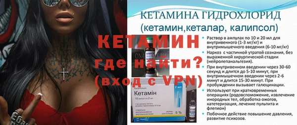 гашик Арсеньев