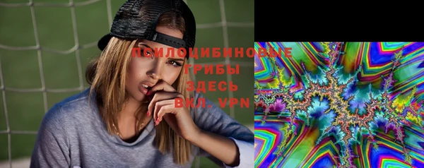 спиды Волоколамск