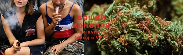 гашик Арсеньев