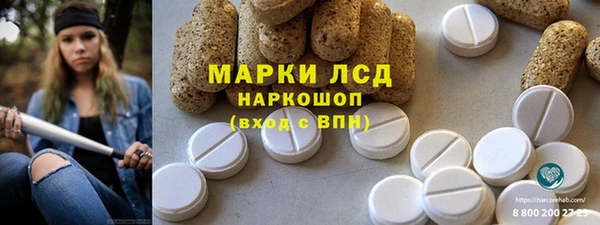 стафф Аркадак