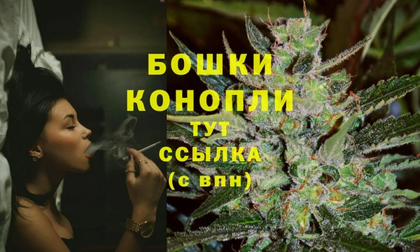 стафф Аркадак