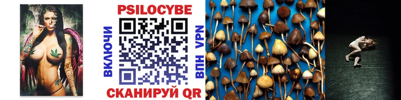 Галлюциногенные грибы Psilocybine cubensis  Спасск-Рязанский 